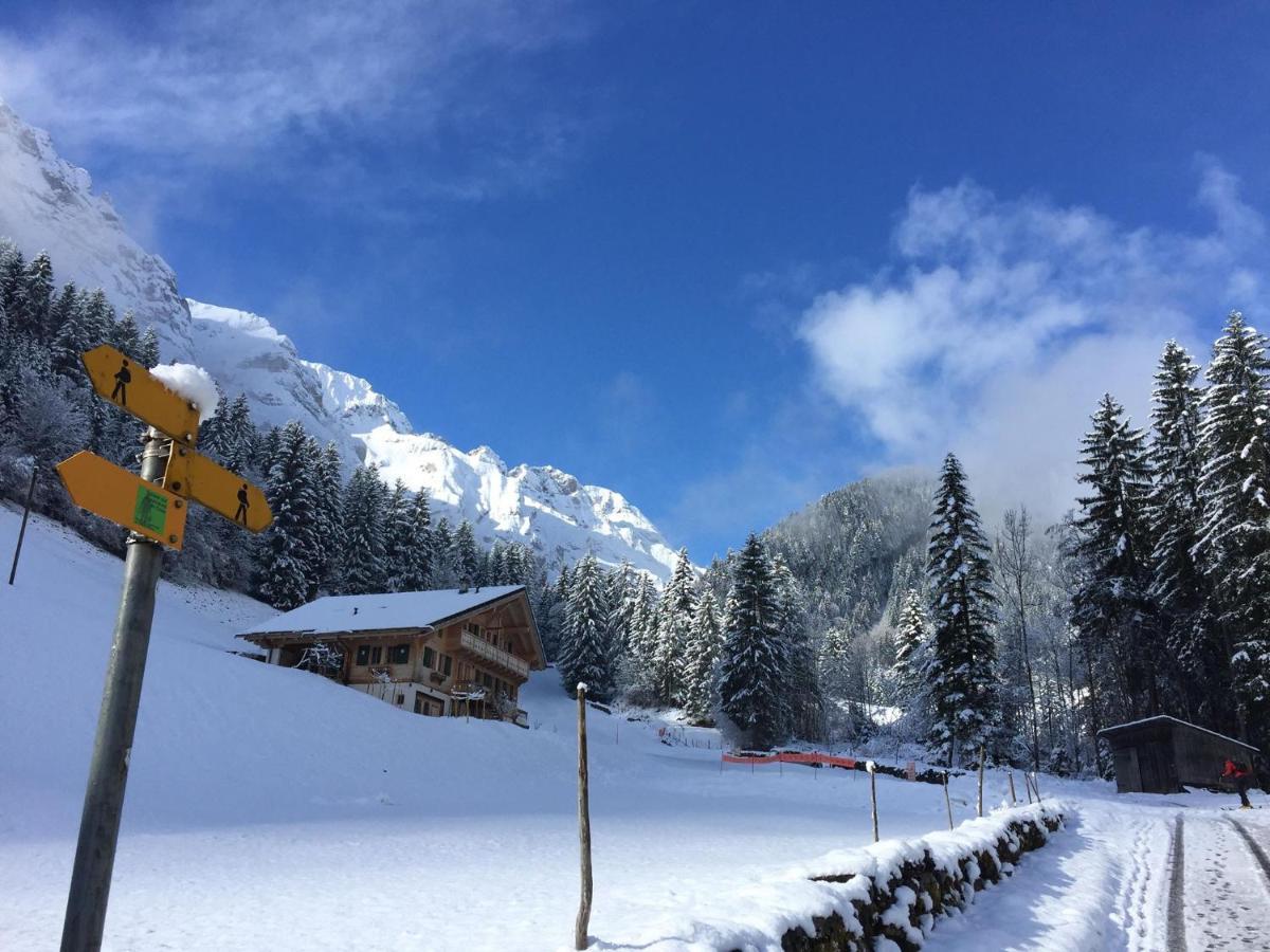 Guest House Du Grand Paradis - On Piste Champery Luaran gambar
