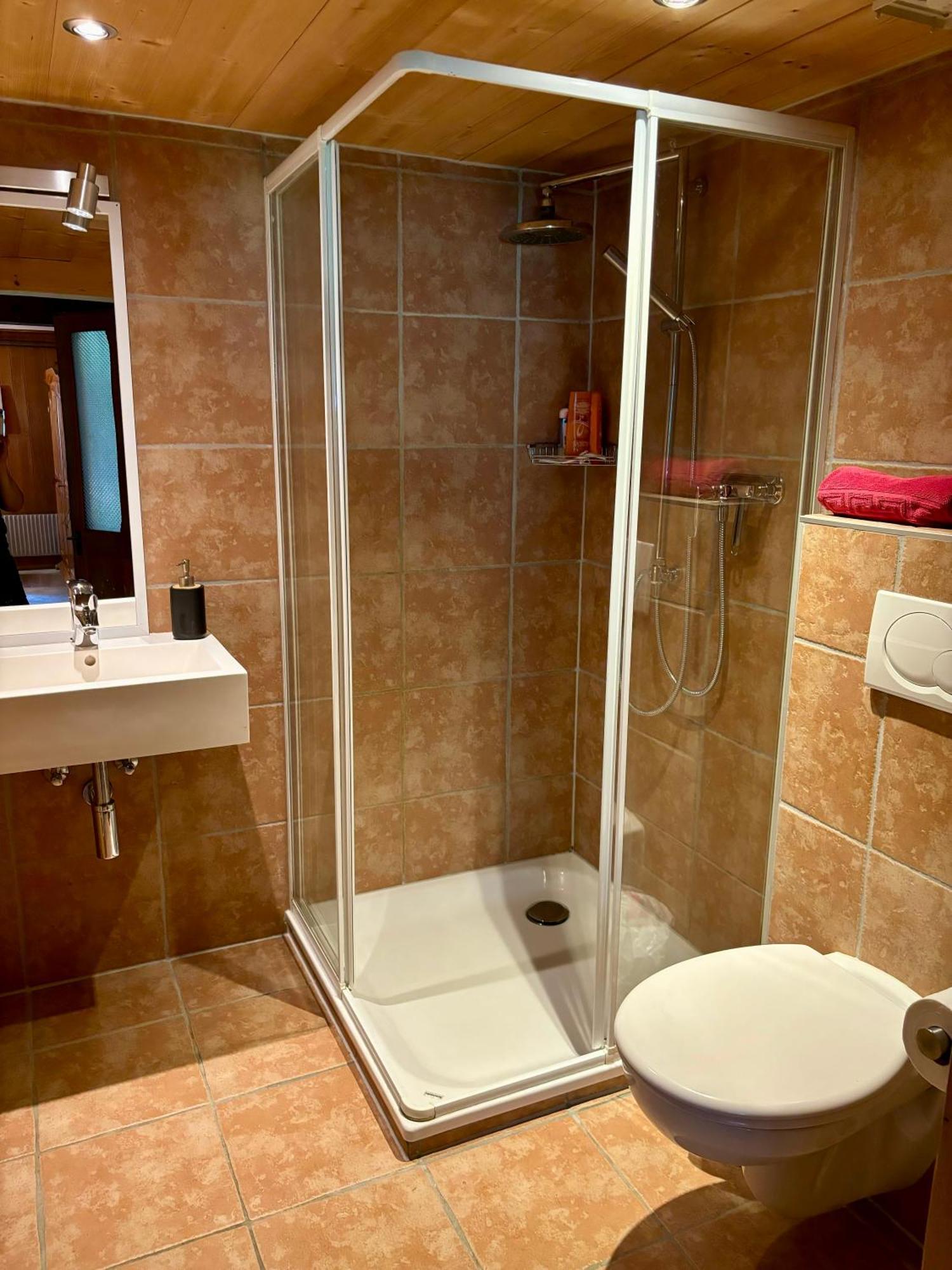 Guest House Du Grand Paradis - On Piste Champery Luaran gambar